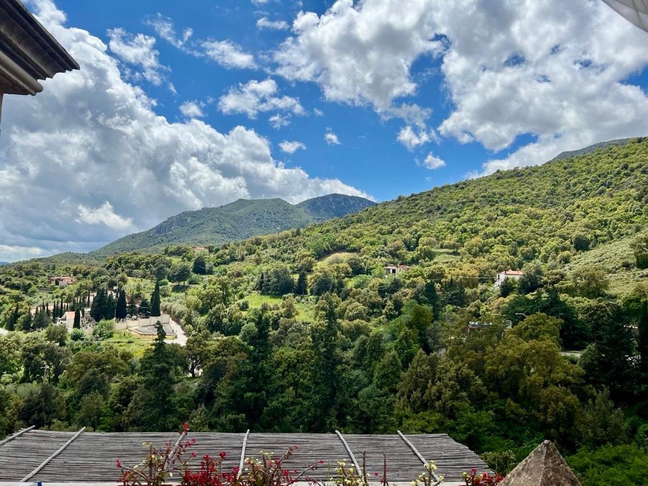 B&B Su Biancu - Sardinian Experience Urzulei Exterior foto